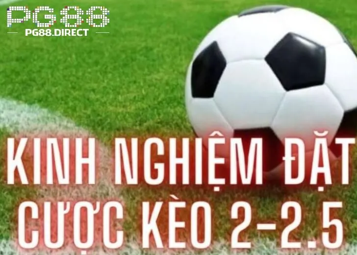 Tham Gia Kèo Chấp 2 1/4 Siêu Hay – Chỉ Có Tại PG88 2 Kinh nghiệm chơi kèo 2 1/4 PG88